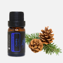 Cargar imagen en el visor de la galería, Aceite Esencial de Cedro