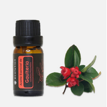 Cargar imagen en el visor de la galería, Aceite Esencial de Gaulteria