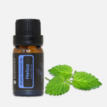 Cargar imagen en el visor de la galería, Aceite Esencial de Melisa (Toronjil)