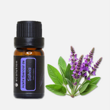 Cargar imagen en el visor de la galería, Aceite Esencial de Salvia