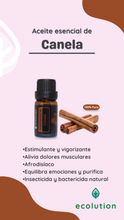 Cargar imagen en el visor de la galería, Aceite Esencial de Canela