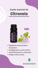 Cargar imagen en el visor de la galería, Aceite Esencial de Citronela