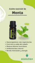 Cargar imagen en el visor de la galería, Aceite Esencial de Menta