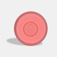 Cargar imagen en el visor de la galería, Acondicionador Frutas y Aloe