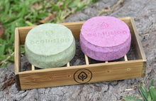 Cargar imagen en el visor de la galería, Shampoonera Bambú - Gran Pajatén