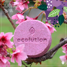 Cargar imagen en el visor de la galería, Pack Shampoo + Acondicionador + 1 Eco Jabón Facial