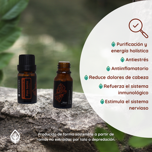 Aceite Esencial de Palo Santo