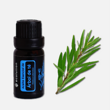 Cargar imagen en el visor de la galería, Aceite Esencial de Árbol de té (Tea Tree)
