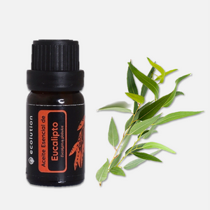 Aceite Esencial de Eucalipto