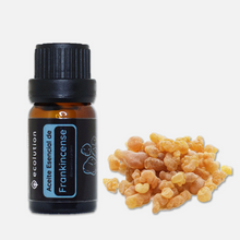 Cargar imagen en el visor de la galería, Aceite Esencial de Frankincense (Incienso)
