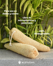 Cargar imagen en el visor de la galería, Lufa - Esponja Vegetal Natural
