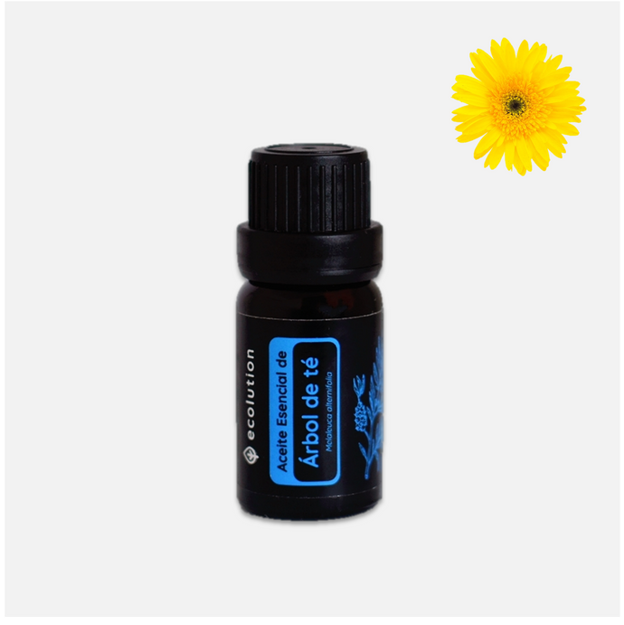 Aceite Esencial de Árbol de té (Tea Tree)